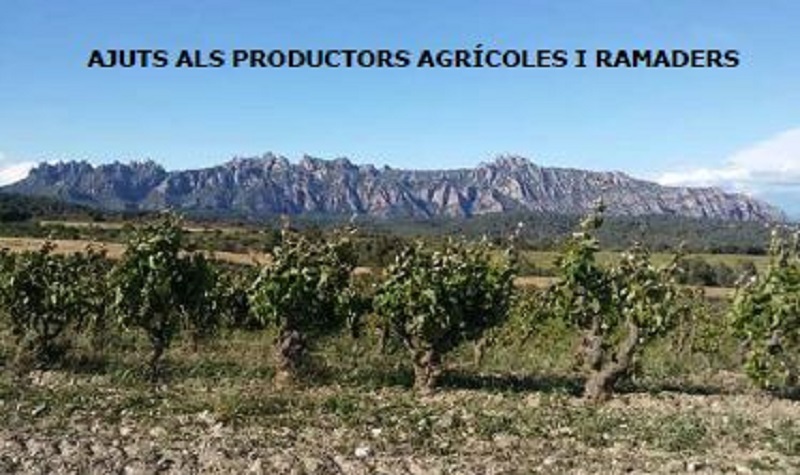 AJUTS ALS PRODUCTORS AGR COLES I RAMADERS Empresa I Ocupaci Piera